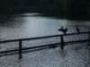 Photo Number 13