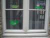 Photo Number 9